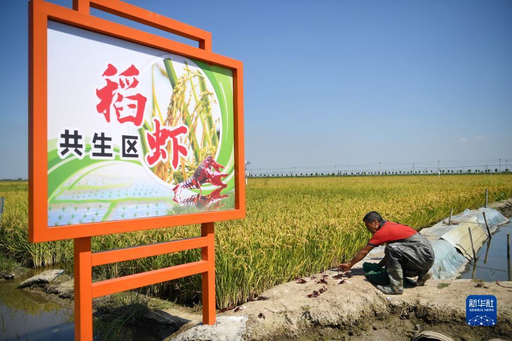 集结号送5万分