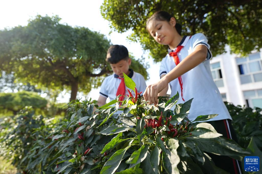 万能捕鱼干扰器